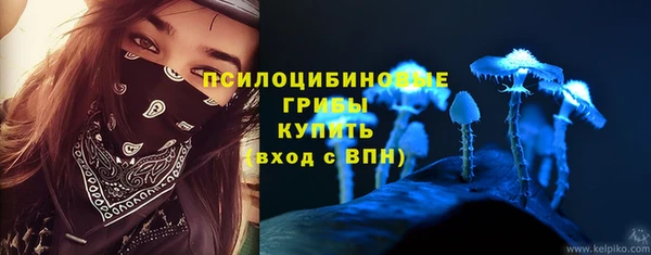мяу мяу мука Горняк
