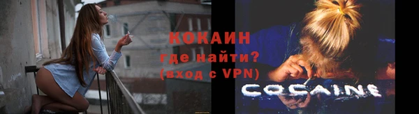 тгк Магас