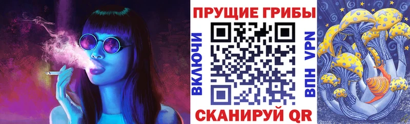 Галлюциногенные грибы Psilocybe  как найти закладки  Павловск 